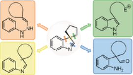 Synthesis of Spirocyclic Indolenines